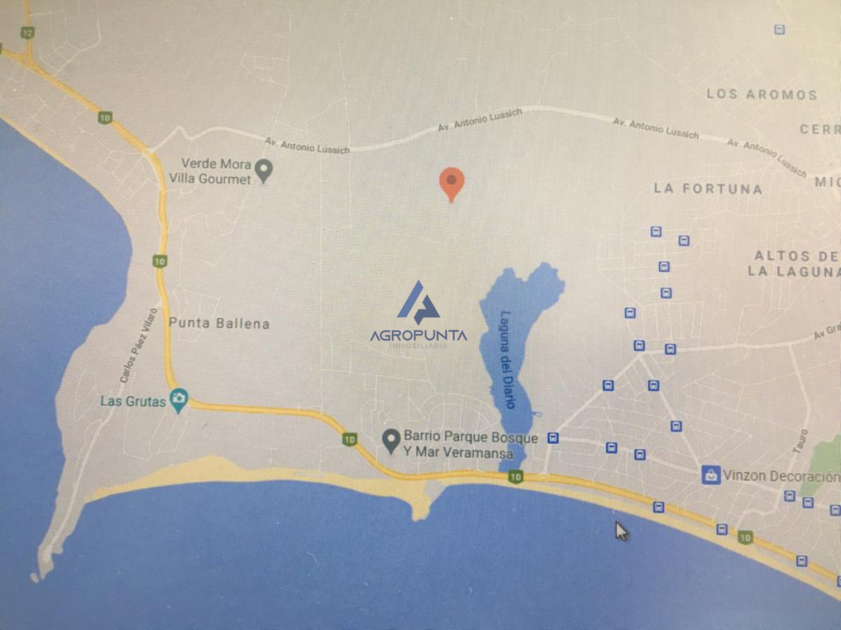 Camino Lussich - GoPunta - Portal Inmobiliario de Punta del Este - Maldonado