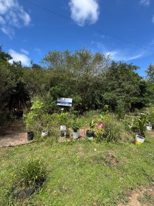 Venta de Terreno en Sauce de Portezuelo 