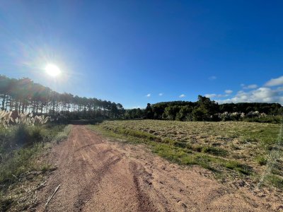 Venta Terreno Maldonado Altos de la Laguna 432m2