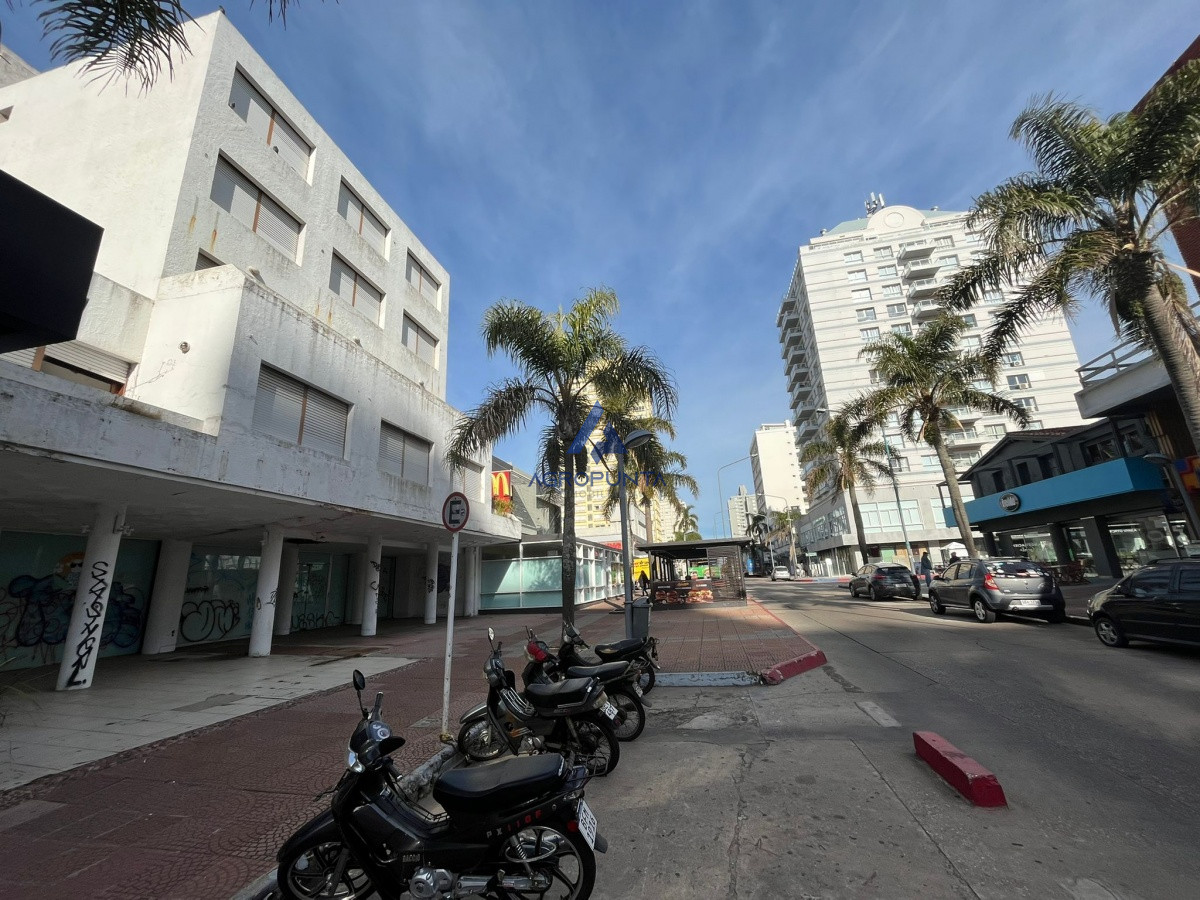 Península - GoPunta - Portal Inmobiliario de Punta del Este - Maldonado