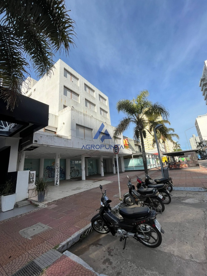 Península - GoPunta - Portal Inmobiliario de Punta del Este - Maldonado
