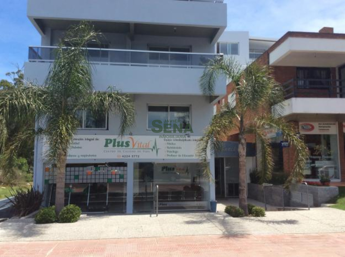 Maldonado - GoPunta - Portal Inmobiliario de Punta del Este - Maldonado