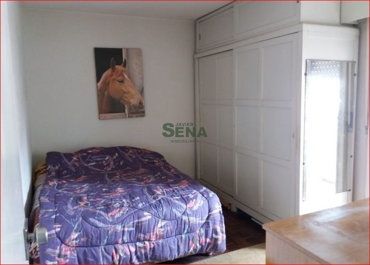 Buceo - GoPunta - Portal Inmobiliario de Punta del Este - Maldonado