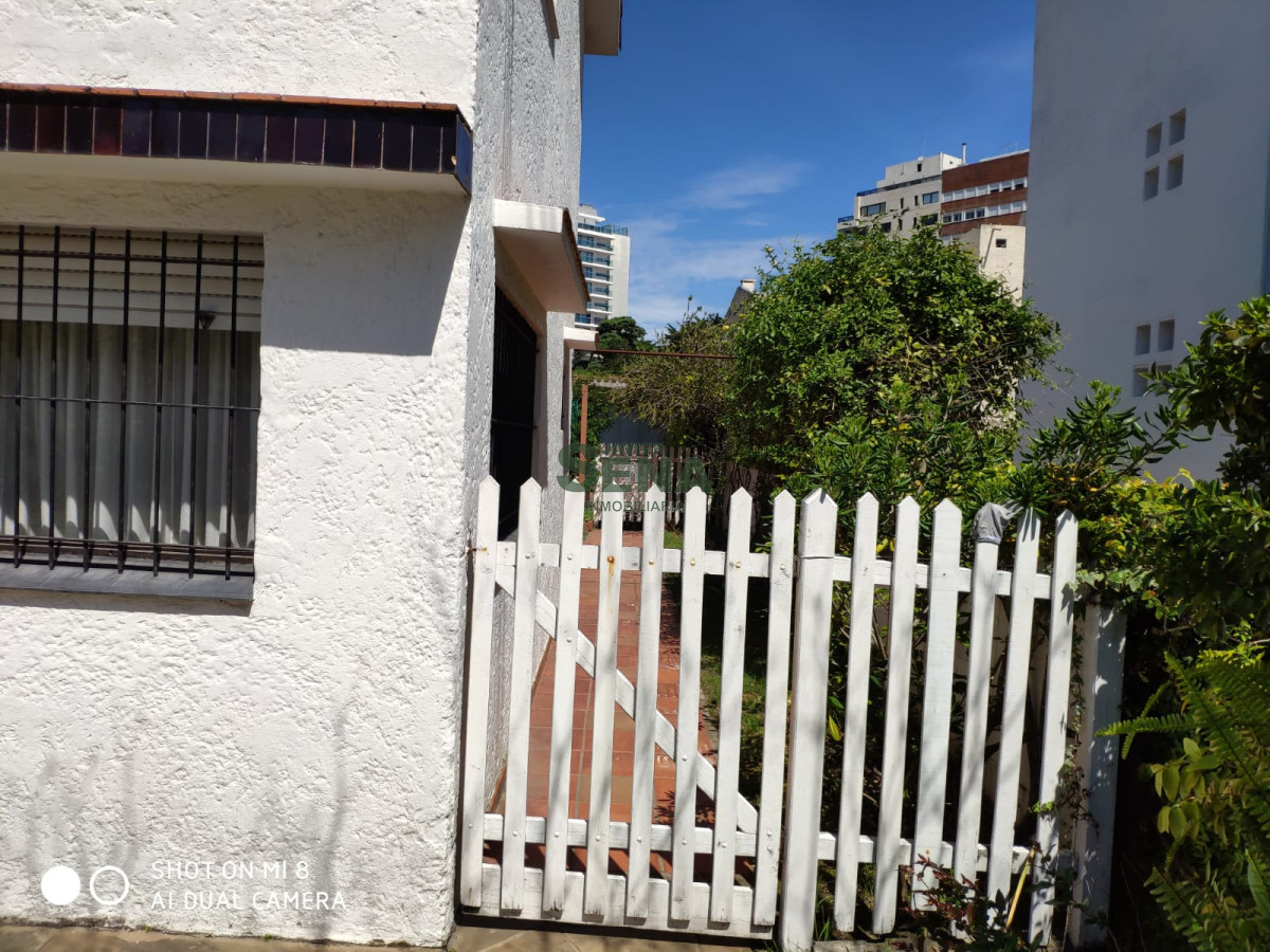 Aidy Grill - GoPunta - Portal Inmobiliario de Punta del Este - Maldonado