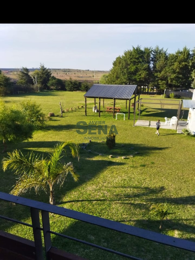 Salto - GoPunta - Portal Inmobiliario de Punta del Este - Maldonado