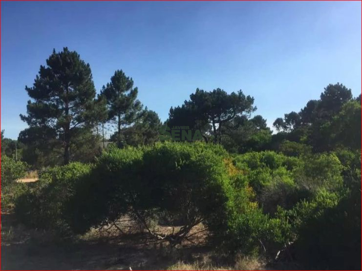 Arenas de José Ignacio - GoPunta - Portal Inmobiliario de Punta del Este - Maldonado