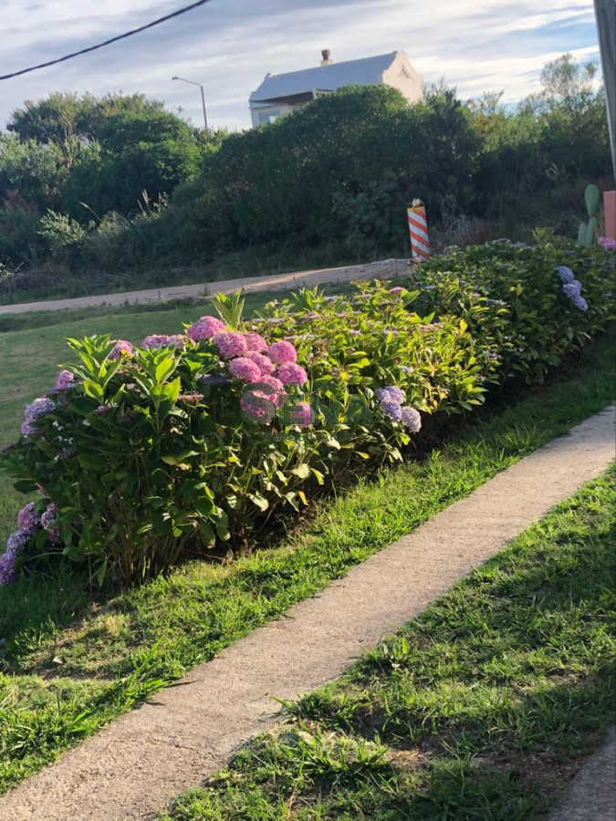 Balneario Buenos Aires - GoPunta - Portal Inmobiliario de Punta del Este - Maldonado