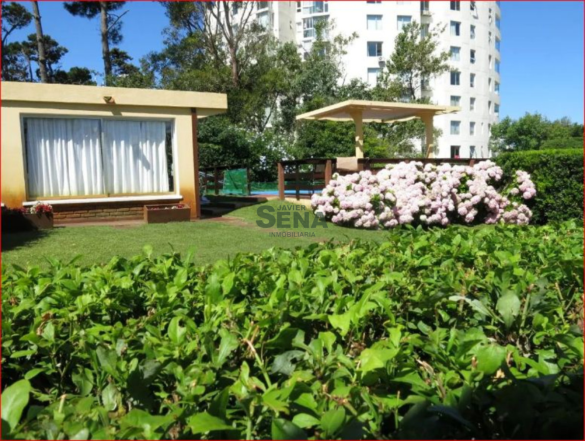 Aidy Grill - GoPunta - Portal Inmobiliario de Punta del Este - Maldonado