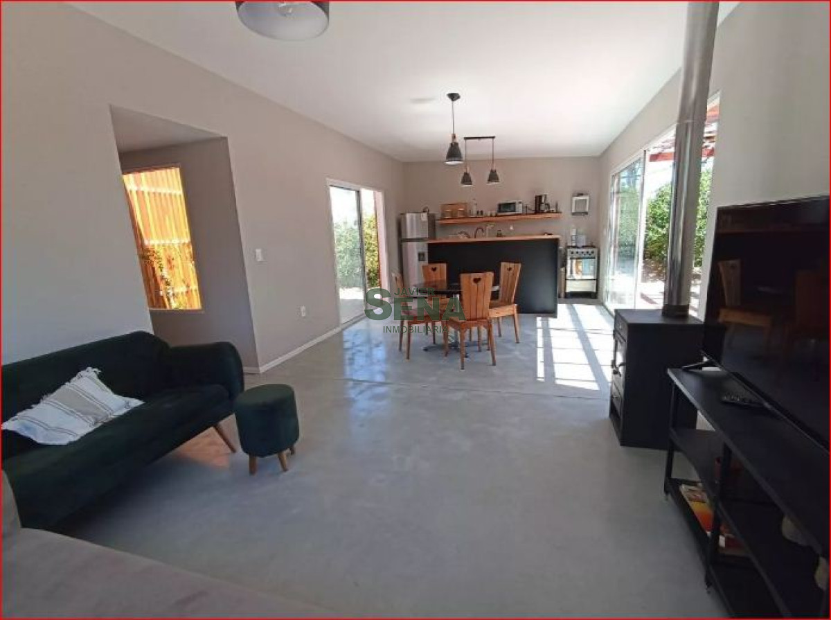 Chihuahua - GoPunta - Portal Inmobiliario de Punta del Este - Maldonado