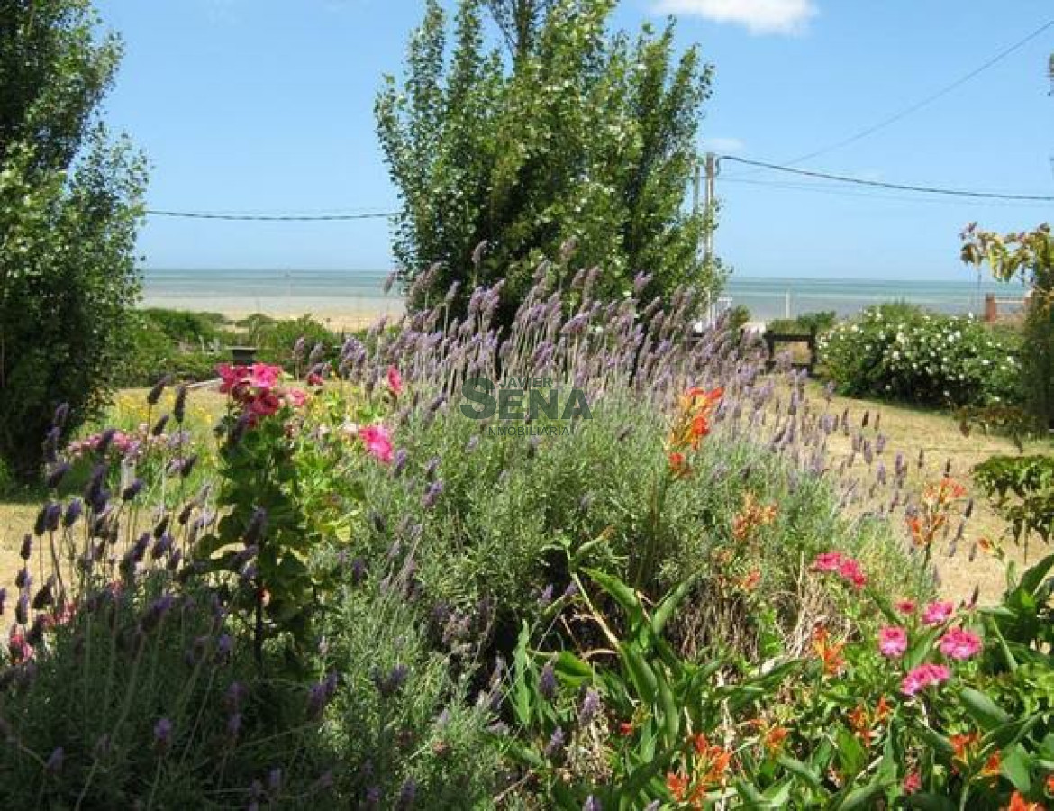 Punta Ballena - GoPunta - Portal Inmobiliario de Punta del Este - Maldonado