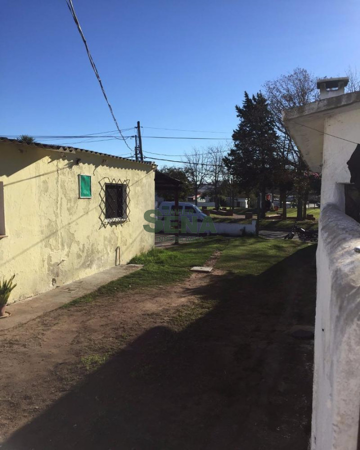 Tassano - GoPunta - Portal Inmobiliario de Punta del Este - Maldonado