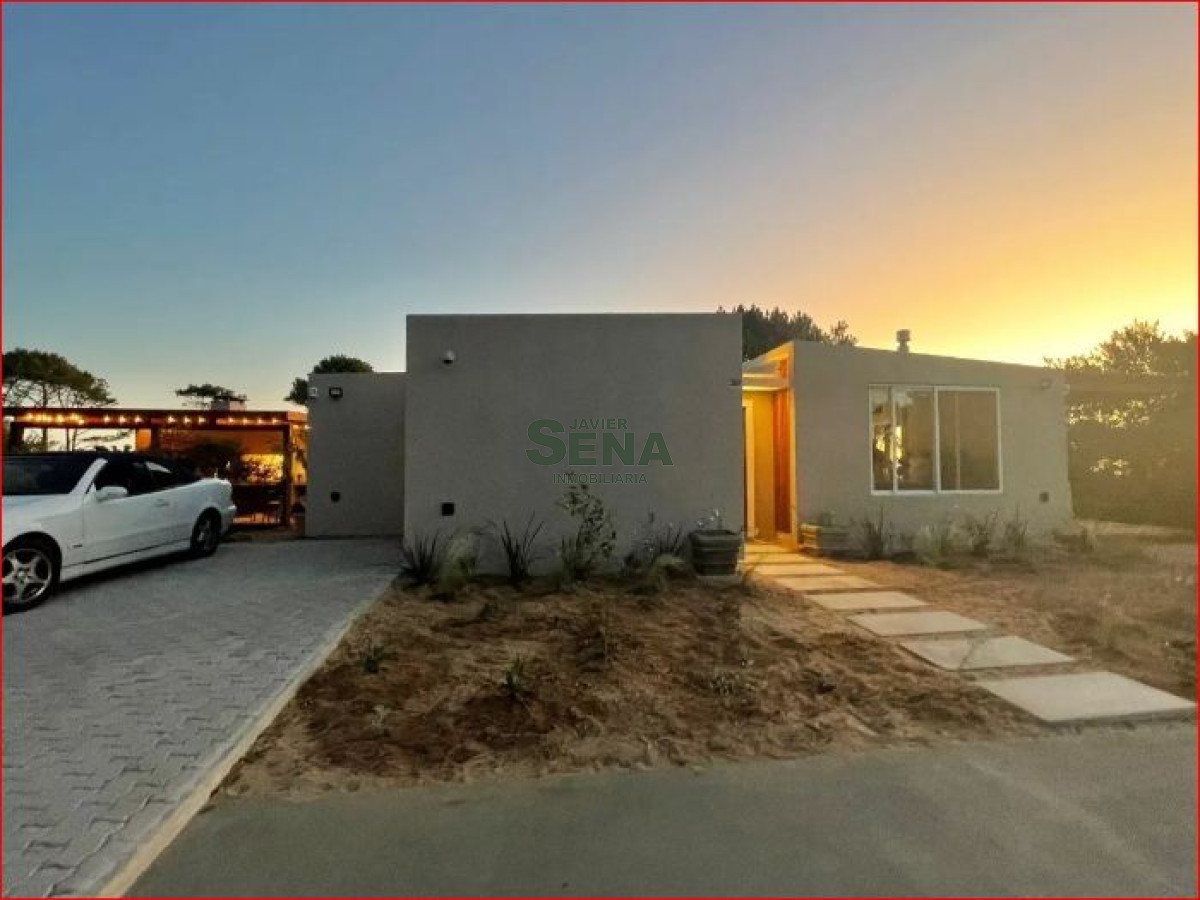 Chihuahua - GoPunta - Portal Inmobiliario de Punta del Este - Maldonado
