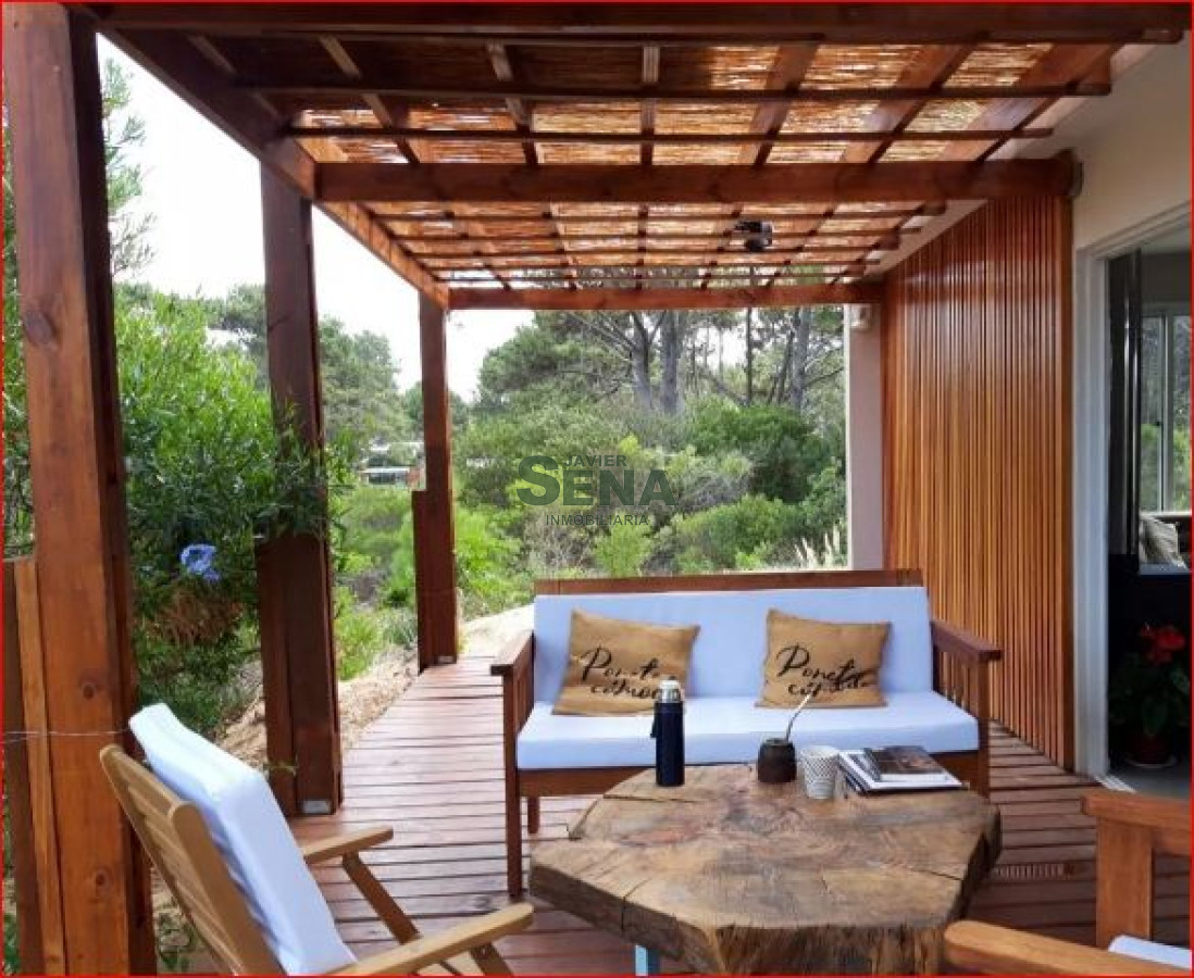 Chihuahua - GoPunta - Portal Inmobiliario de Punta del Este - Maldonado