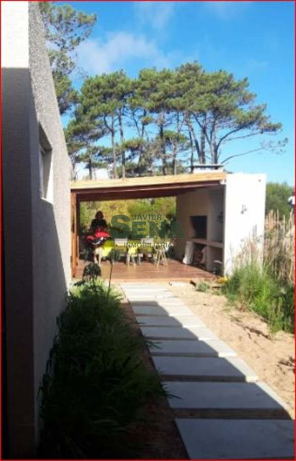 Chihuahua - GoPunta - Portal Inmobiliario de Punta del Este - Maldonado