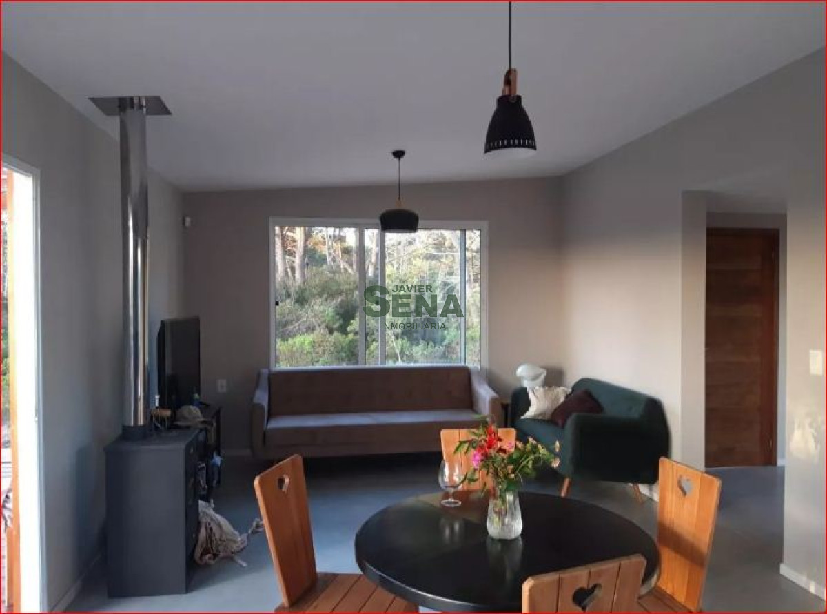Chihuahua - GoPunta - Portal Inmobiliario de Punta del Este - Maldonado