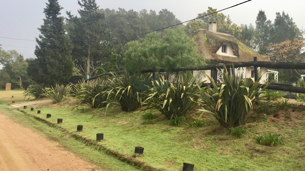 Laguna del Diario - GoPunta - Portal Inmobiliario de Punta del Este - Maldonado