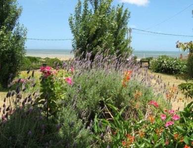 Venta en Punta Ballena, 2 Dormi, vista al Mar y 1000m2 tier