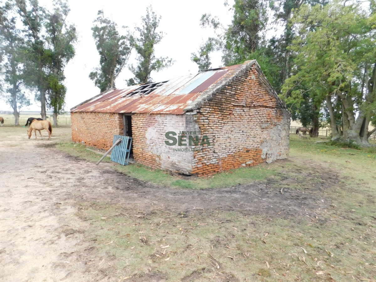 Zona Rural - GoPunta - Portal Inmobiliario de Punta del Este - Maldonado