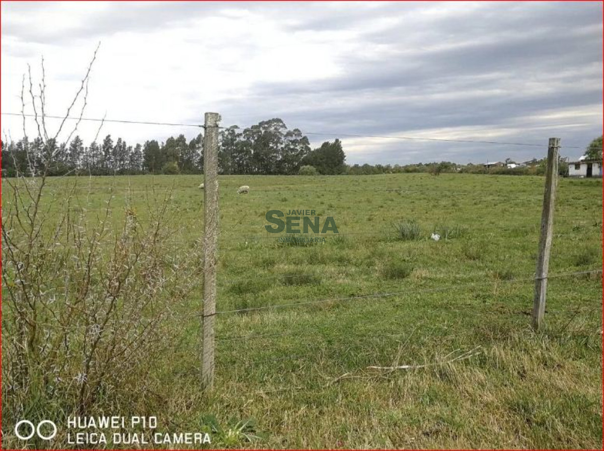 Melilla - GoPunta - Portal Inmobiliario de Punta del Este - Maldonado