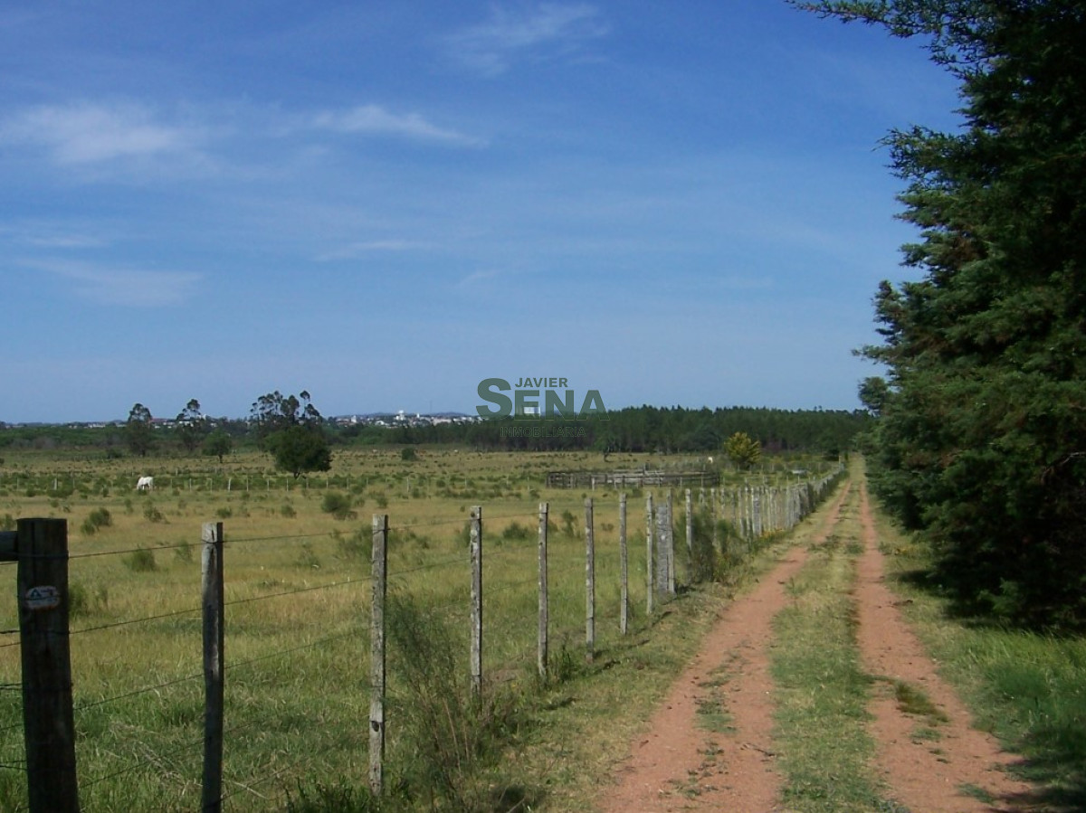 Zona Rural - GoPunta - Portal Inmobiliario de Punta del Este - Maldonado