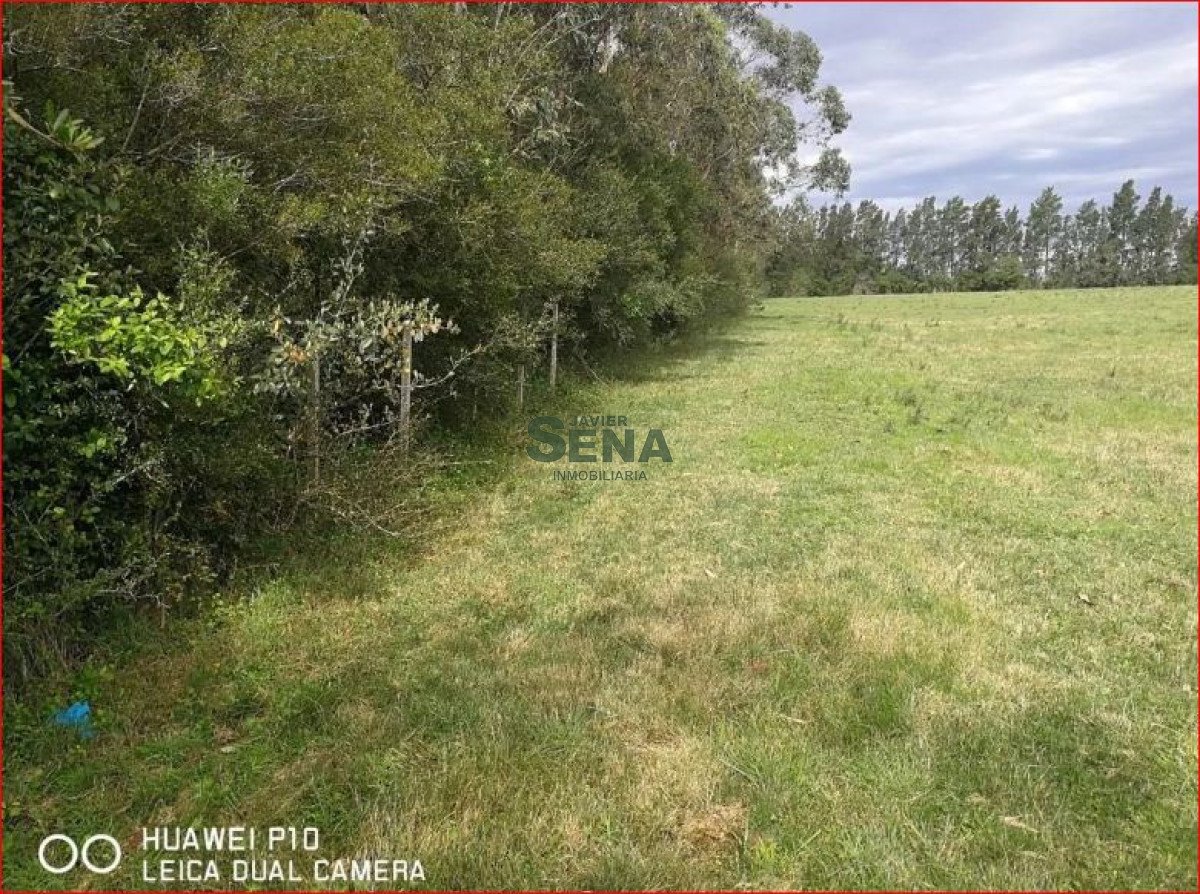 Melilla - GoPunta - Portal Inmobiliario de Punta del Este - Maldonado