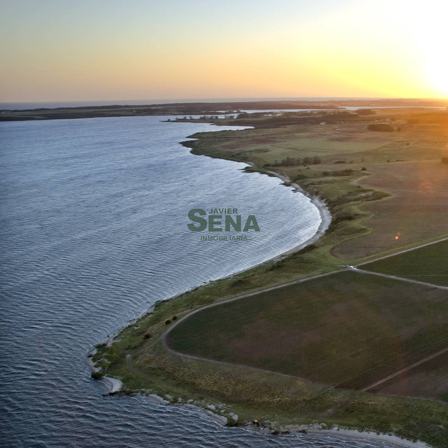 Venta de lote en Laguna del Sauce, divino lugar. - GoPunta - Portal Inmobiliario de Punta del Este - Maldonado
