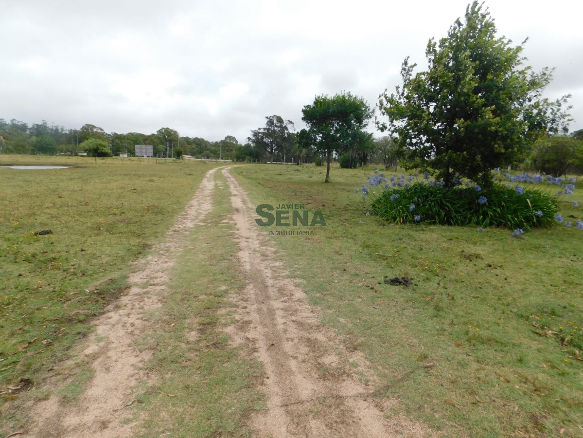 Zona Rural - GoPunta - Portal Inmobiliario de Punta del Este - Maldonado