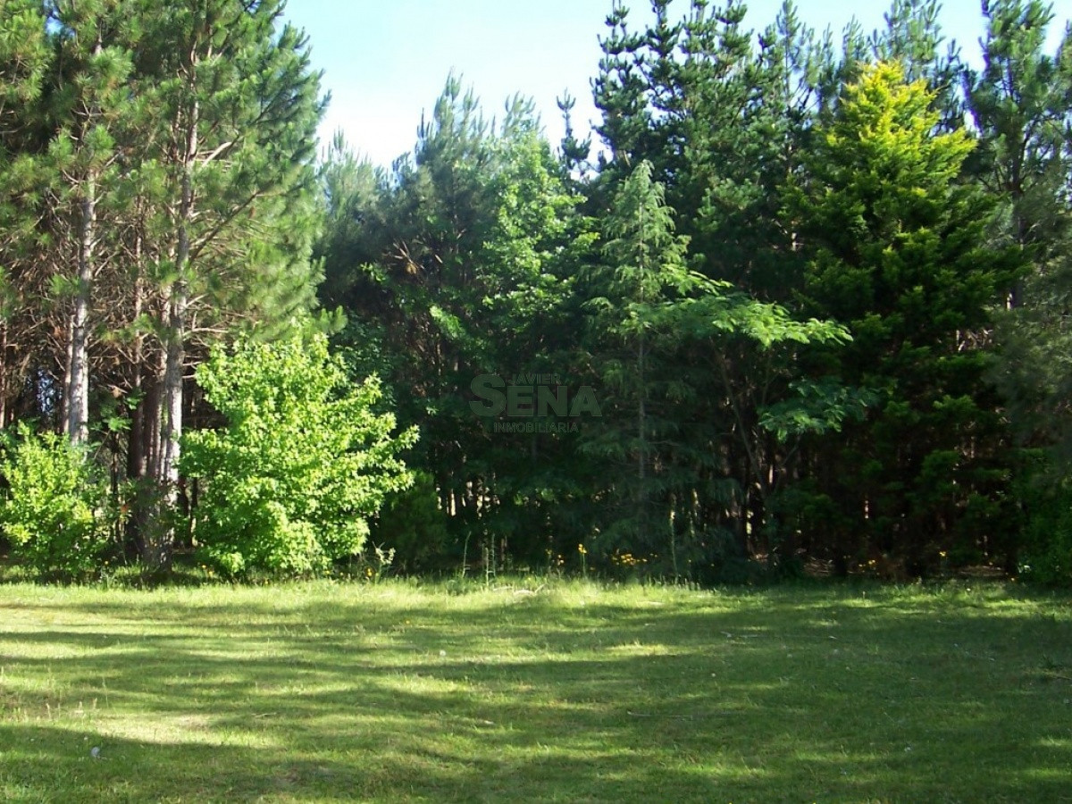 Zona Rural - GoPunta - Portal Inmobiliario de Punta del Este - Maldonado