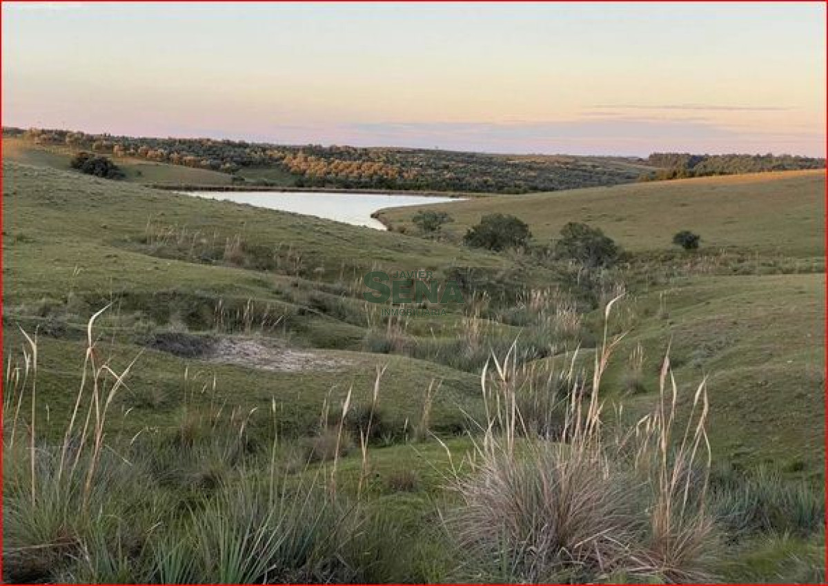 Venta de chacra en Garzon, son 8 hectareas con buenas vista y agua. - GoPunta - Portal Inmobiliario de Punta del Este - Maldonado