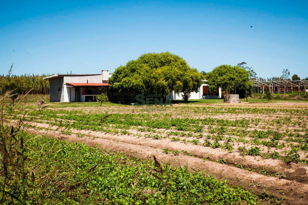 Venta de chacra en Canelones, Atlantida divina chacra a pocas cuadras de la ciudad. - GoPunta - Portal Inmobiliario de Punta del Este - Maldonado