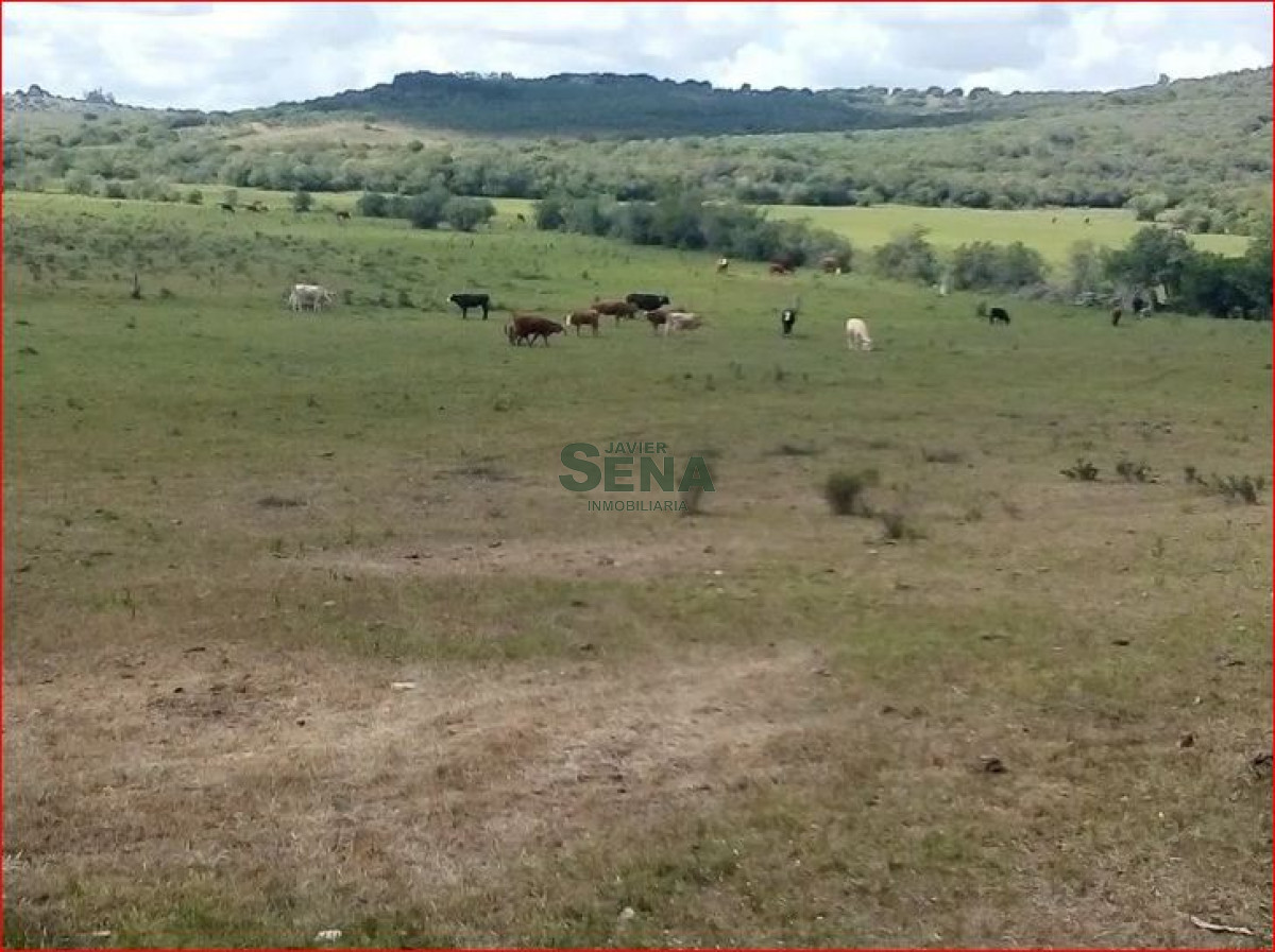 Zona Rural - GoPunta - Portal Inmobiliario de Punta del Este - Maldonado