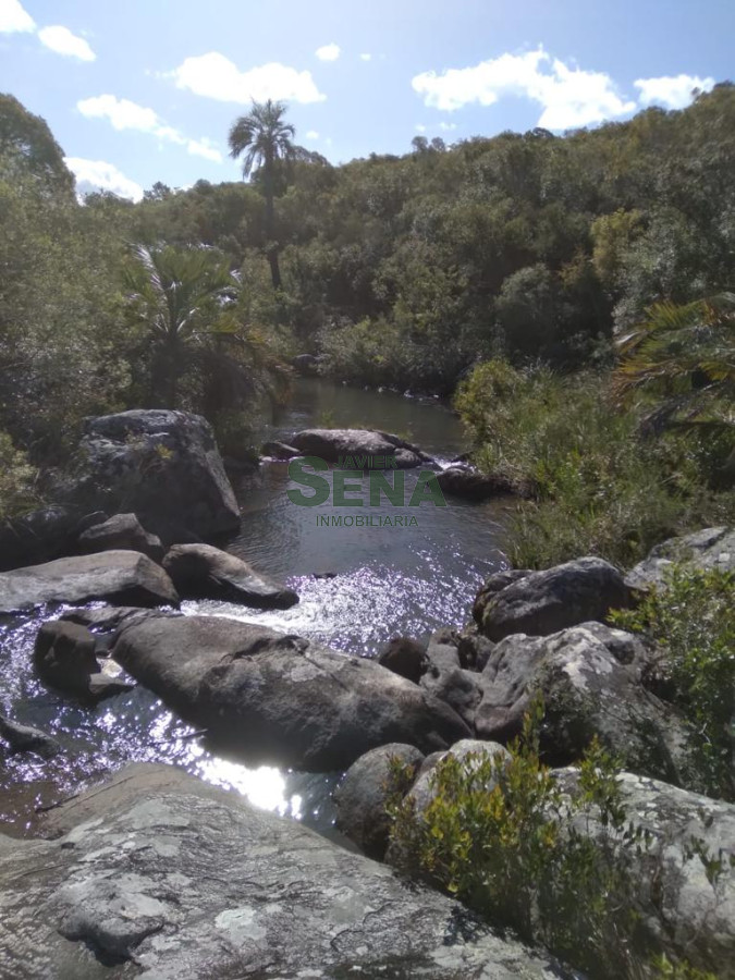 Venta de chacra en la Barra, 16 hectareas con arroyo y buen acceso. - GoPunta - Portal Inmobiliario de Punta del Este - Maldonado