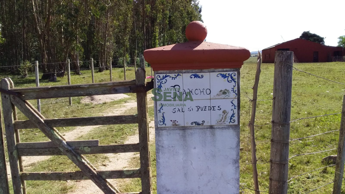Zona Rural - GoPunta - Portal Inmobiliario de Punta del Este - Maldonado