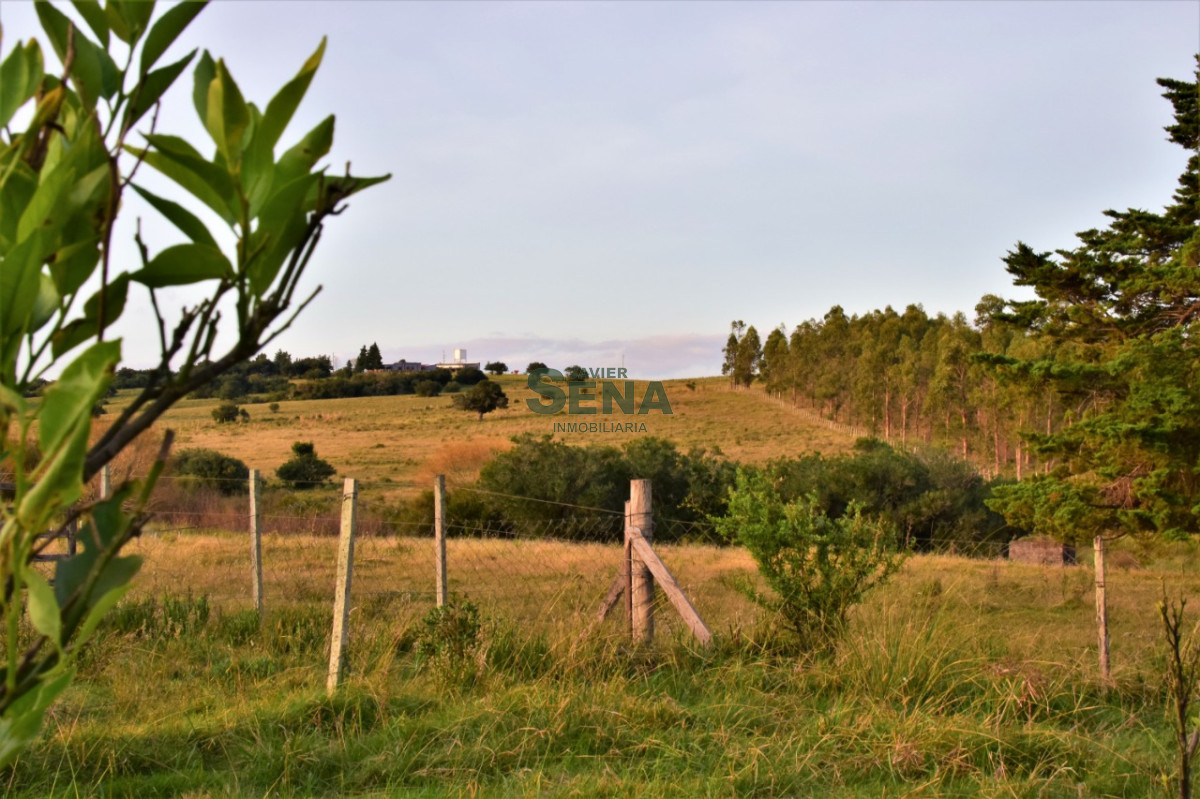 Zona Rural - GoPunta - Portal Inmobiliario de Punta del Este - Maldonado