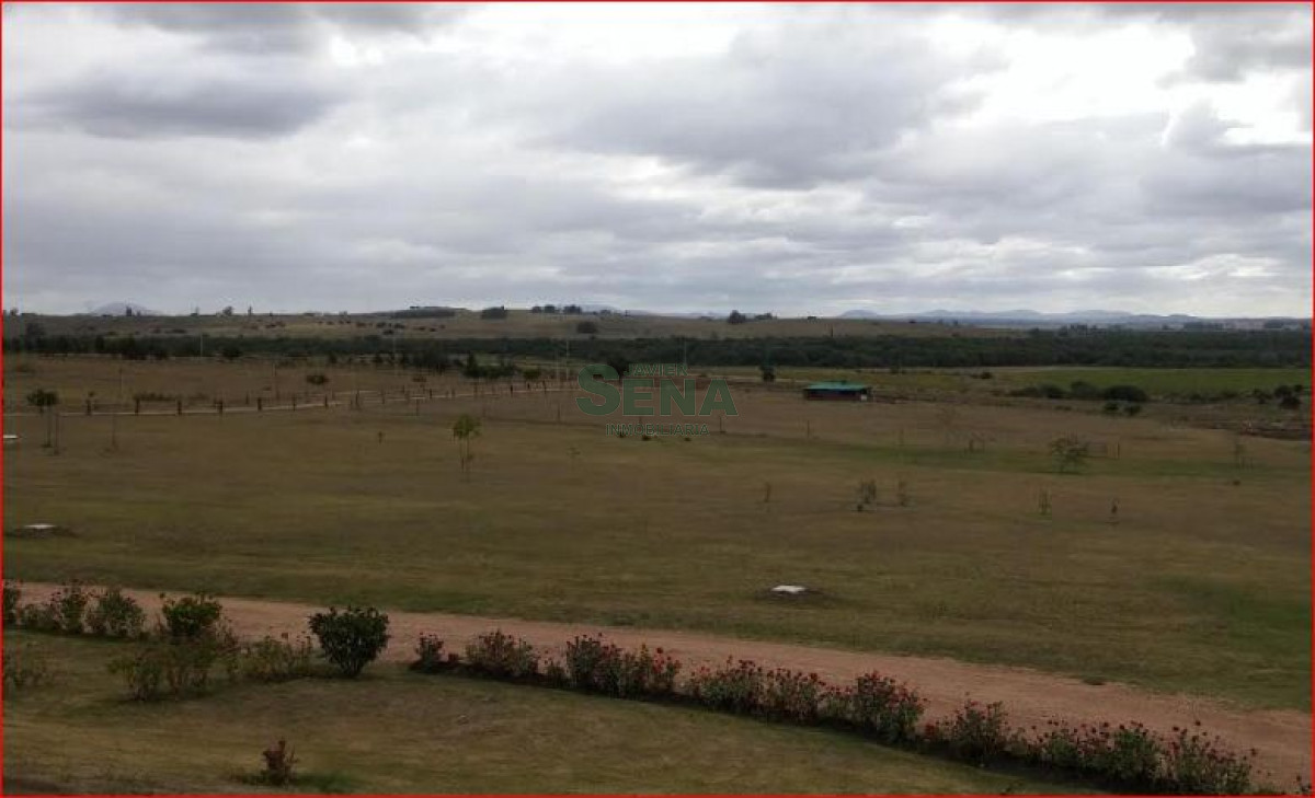 Zona Rural - GoPunta - Portal Inmobiliario de Punta del Este - Maldonado