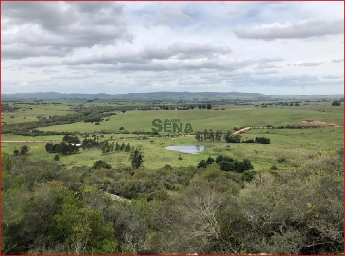 Venta de Chacra en los Caracoles, 3 dormitorios, 5 baños, panoramica, buena edificacion - GoPunta - Portal Inmobiliario de Punta del Este - Maldonado