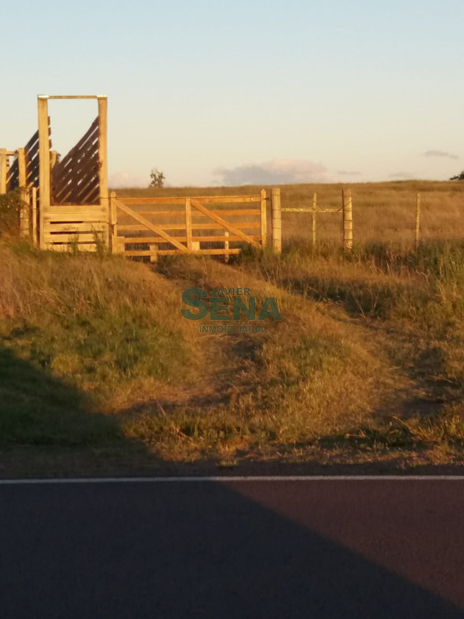 San Carlos - GoPunta - Portal Inmobiliario de Punta del Este - Maldonado