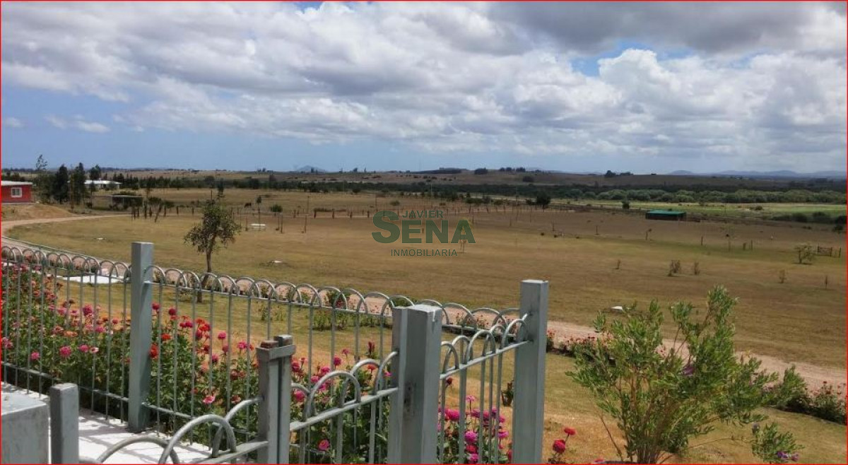 Zona Rural - GoPunta - Portal Inmobiliario de Punta del Este - Maldonado