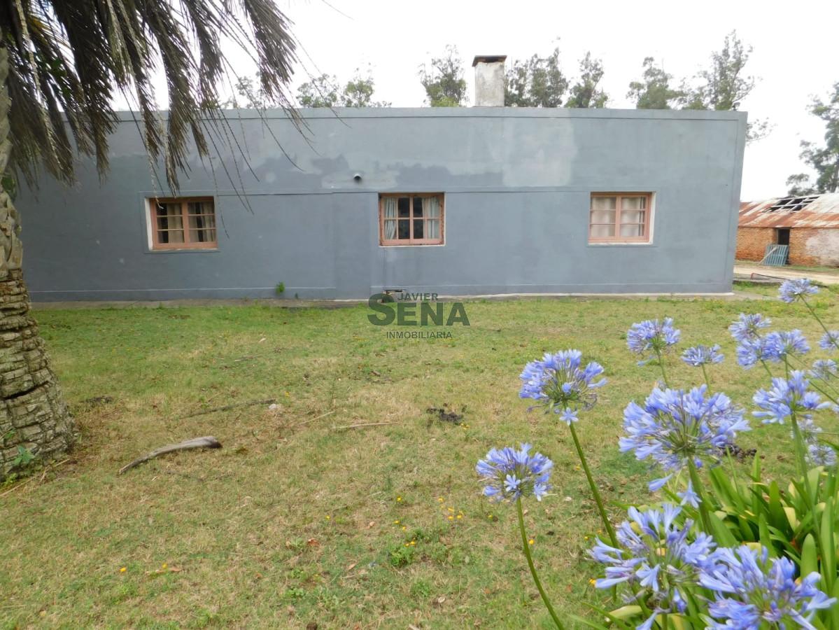 Zona Rural - GoPunta - Portal Inmobiliario de Punta del Este - Maldonado