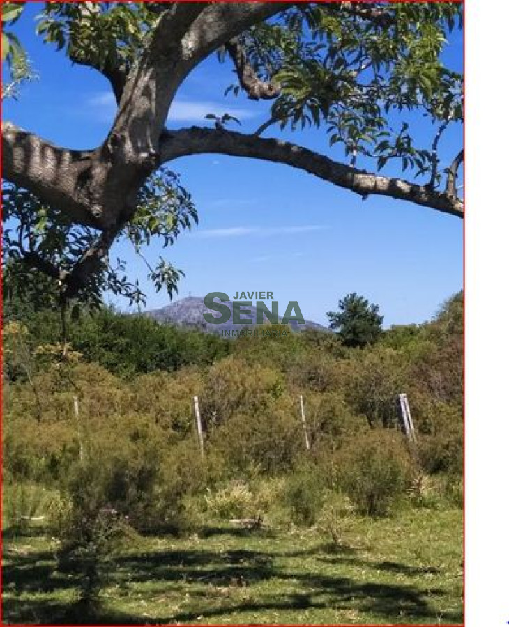 Zona Rural - GoPunta - Portal Inmobiliario de Punta del Este - Maldonado