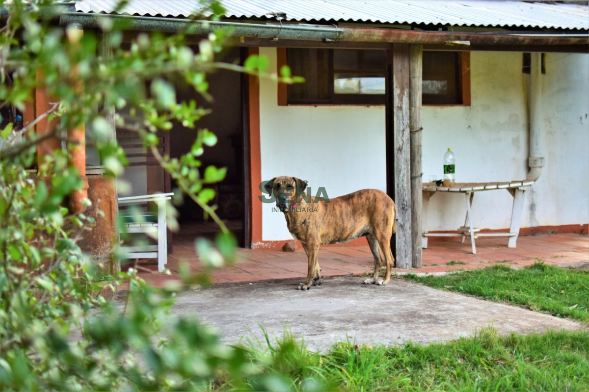 Zona Rural - GoPunta - Portal Inmobiliario de Punta del Este - Maldonado