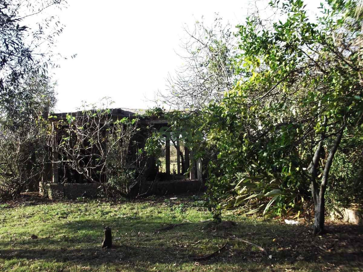 Cerro Eguzquiza, 4 dormitorios, 2 baños. - GoPunta - Portal Inmobiliario de Punta del Este - Maldonado
