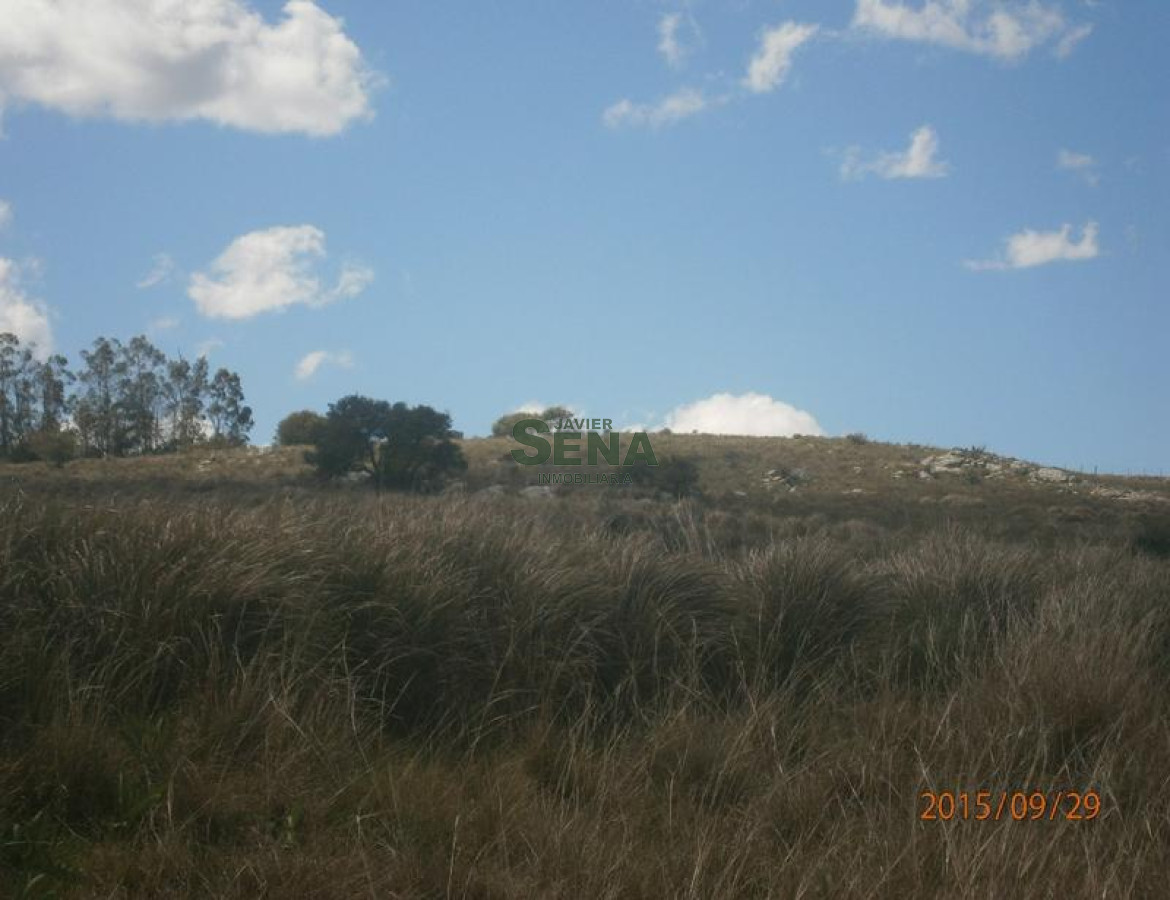 Minas de cerca de la Ciudad - GoPunta - Portal Inmobiliario de Punta del Este - Maldonado