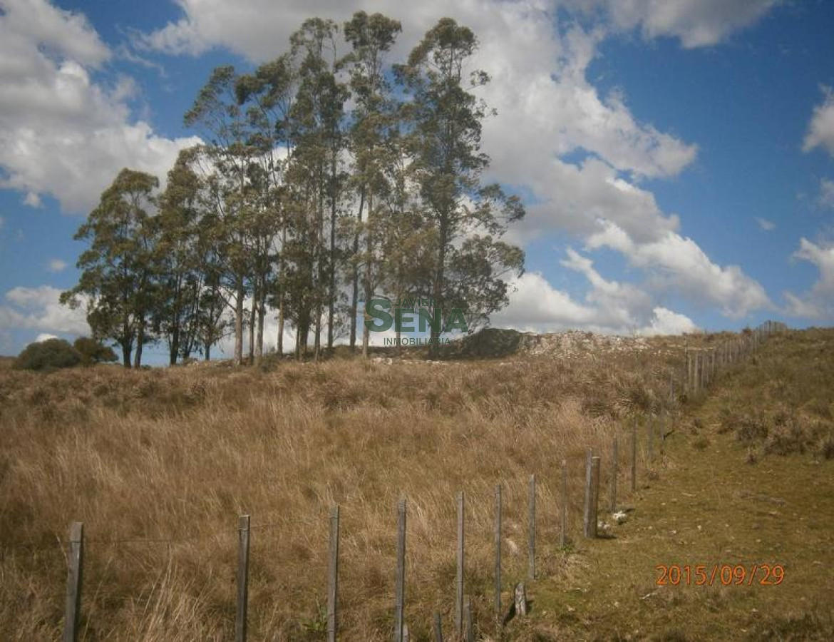 Minas de cerca de la Ciudad - GoPunta - Portal Inmobiliario de Punta del Este - Maldonado