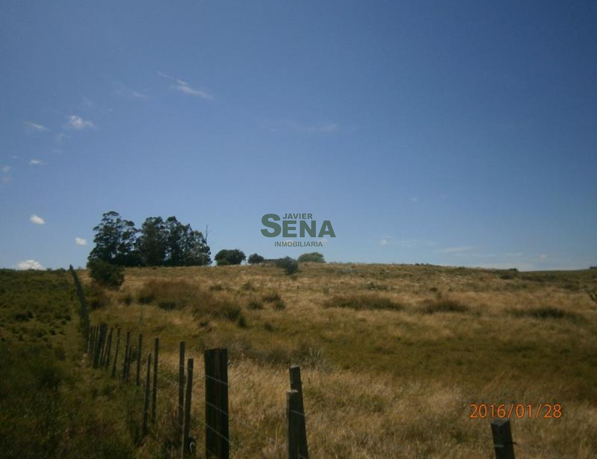 Minas de cerca de la Ciudad - GoPunta - Portal Inmobiliario de Punta del Este - Maldonado