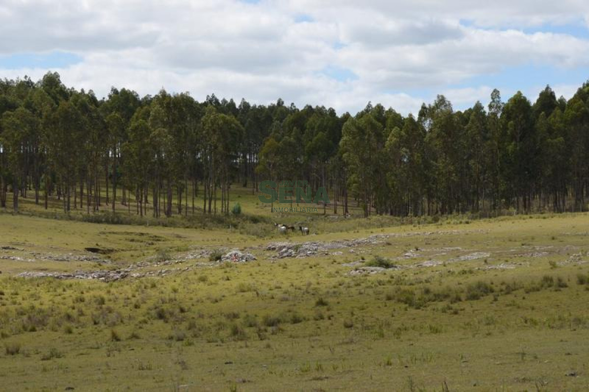 Venta de chacra en las Sierra de los caracoles, unico para descansar - GoPunta - Portal Inmobiliario de Punta del Este - Maldonado