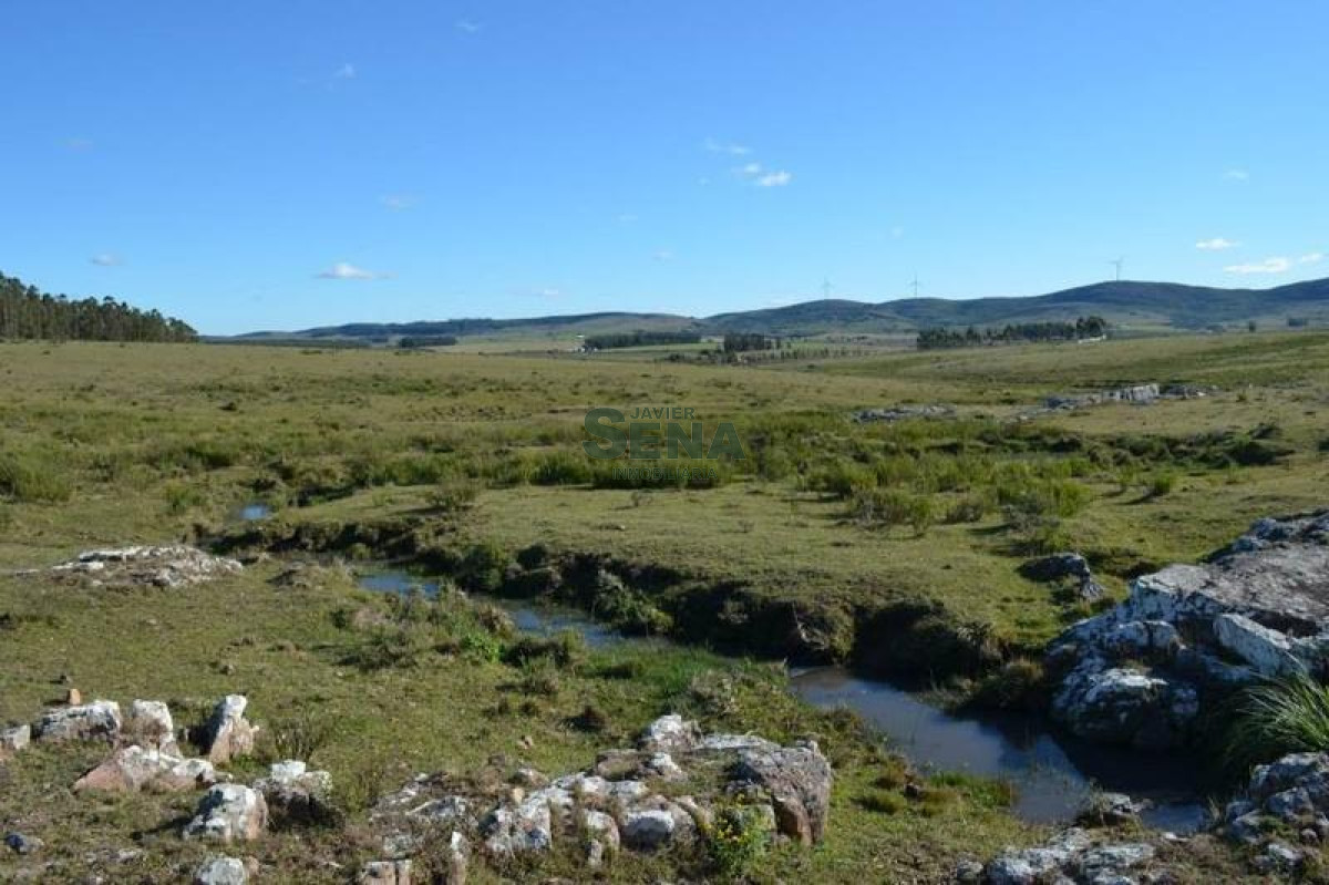 Venta de chacra en las Sierra de los caracoles, unico para descansar - GoPunta - Portal Inmobiliario de Punta del Este - Maldonado