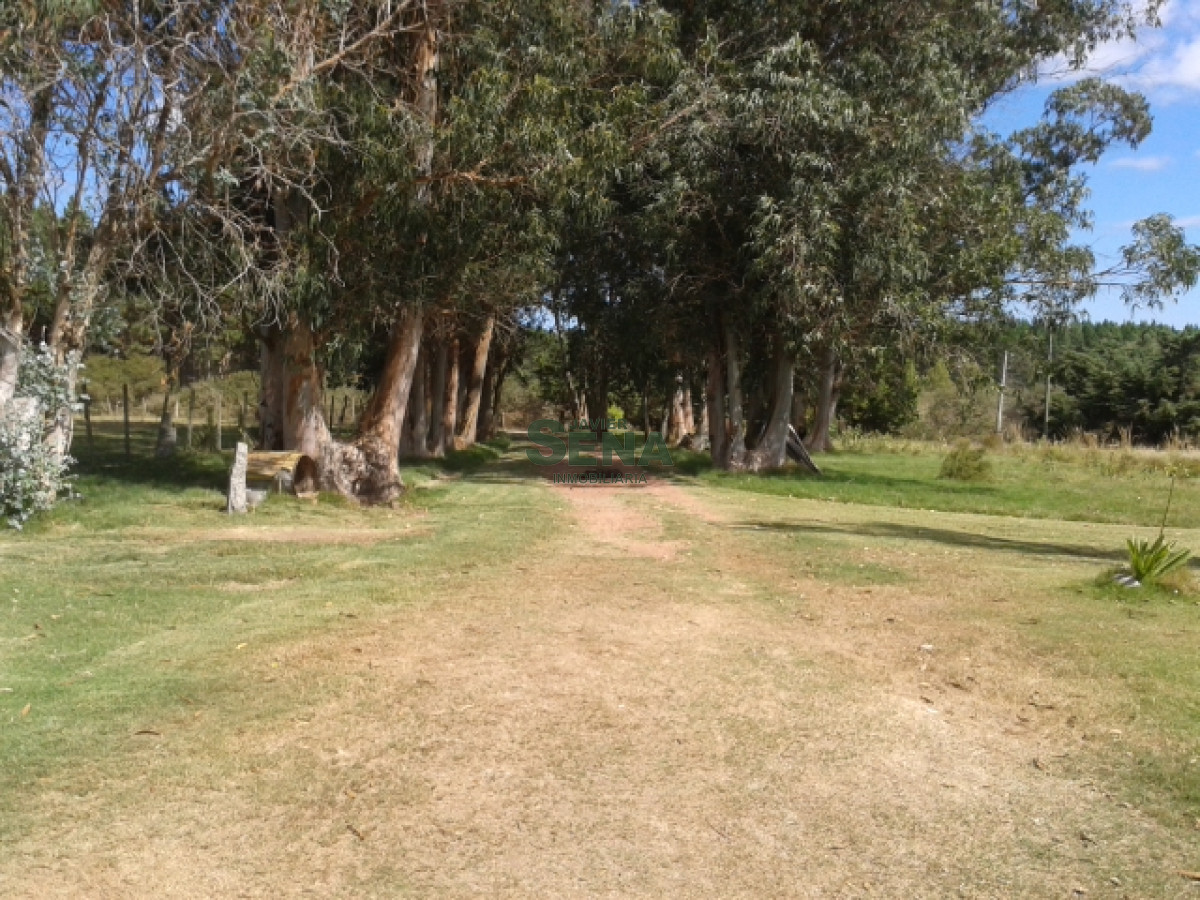 Venta de chacra en Maldonado a 5 kilometros, 5 hectareas, con buena casa - GoPunta - Portal Inmobiliario de Punta del Este - Maldonado