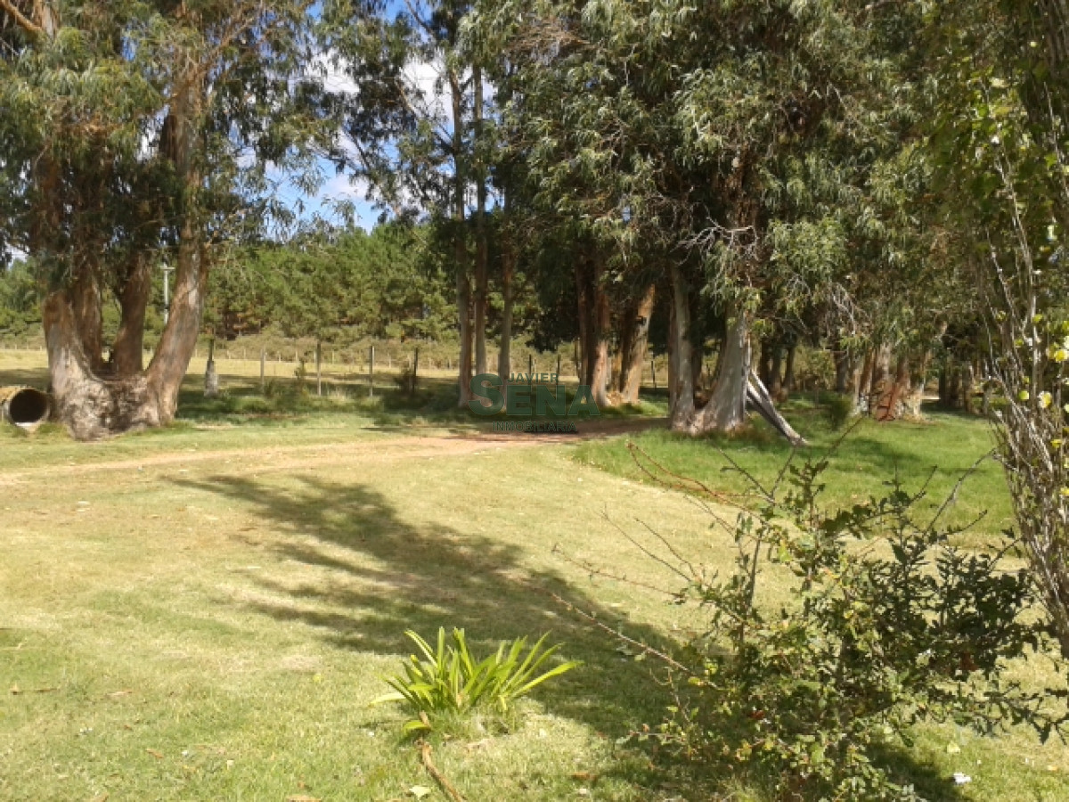 Venta de chacra en Maldonado a 5 kilometros, 5 hectareas, con buena casa - GoPunta - Portal Inmobiliario de Punta del Este - Maldonado