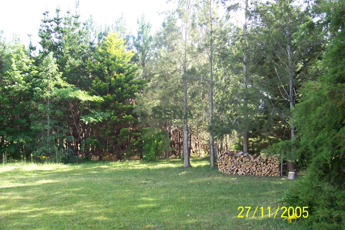 Zona Rural - GoPunta - Portal Inmobiliario de Punta del Este - Maldonado
